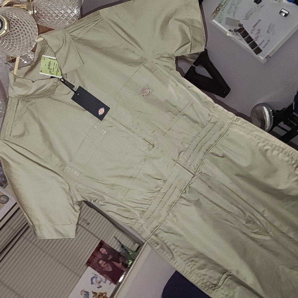 Dickies cover all